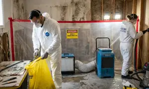 Mold remediation service widget for water damage cleanup in Hampton, VA